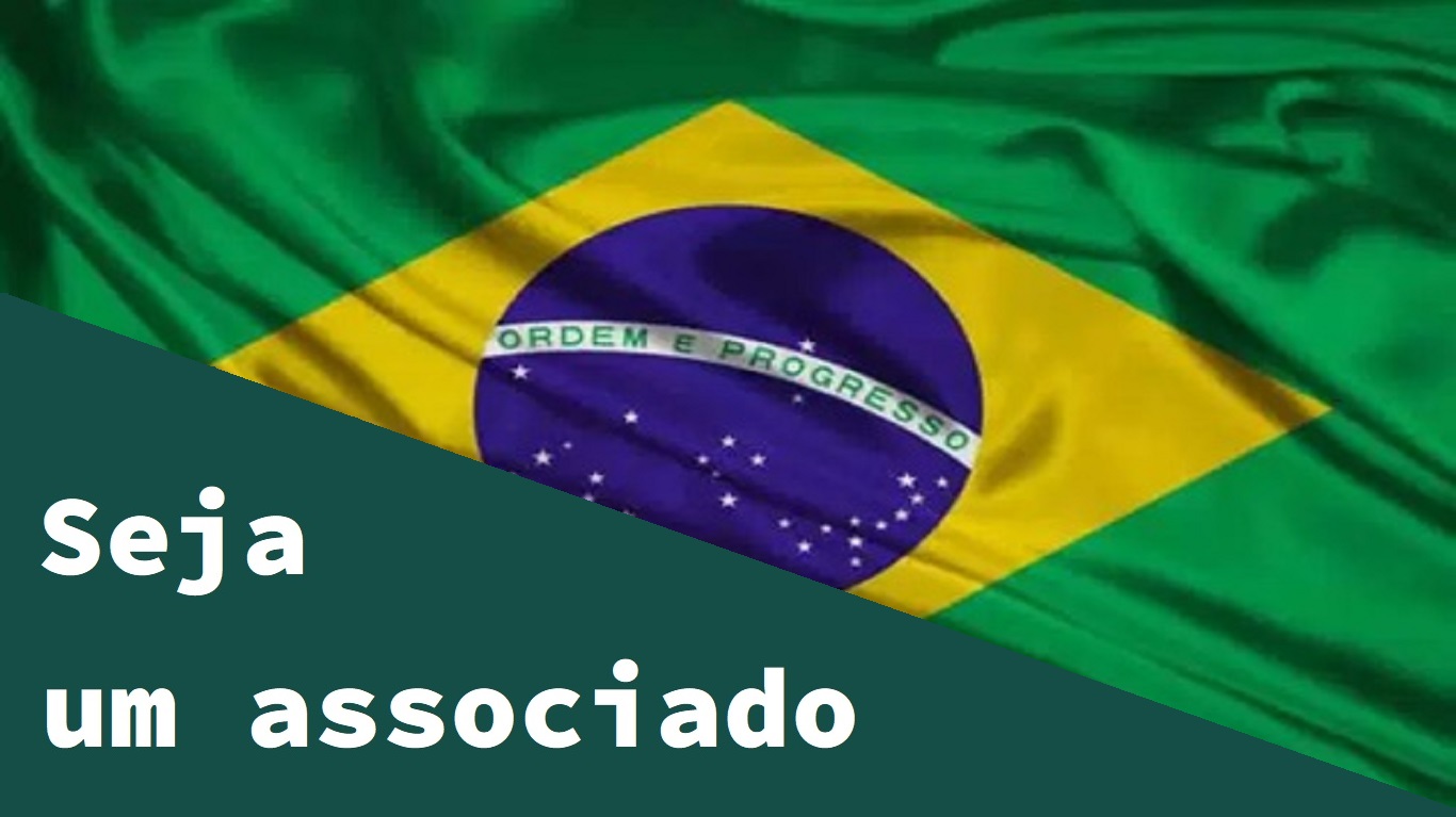 Segundo Slide